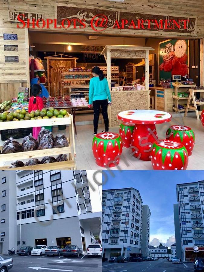 Ch Homestay 카메론하일랜즈 외부 사진